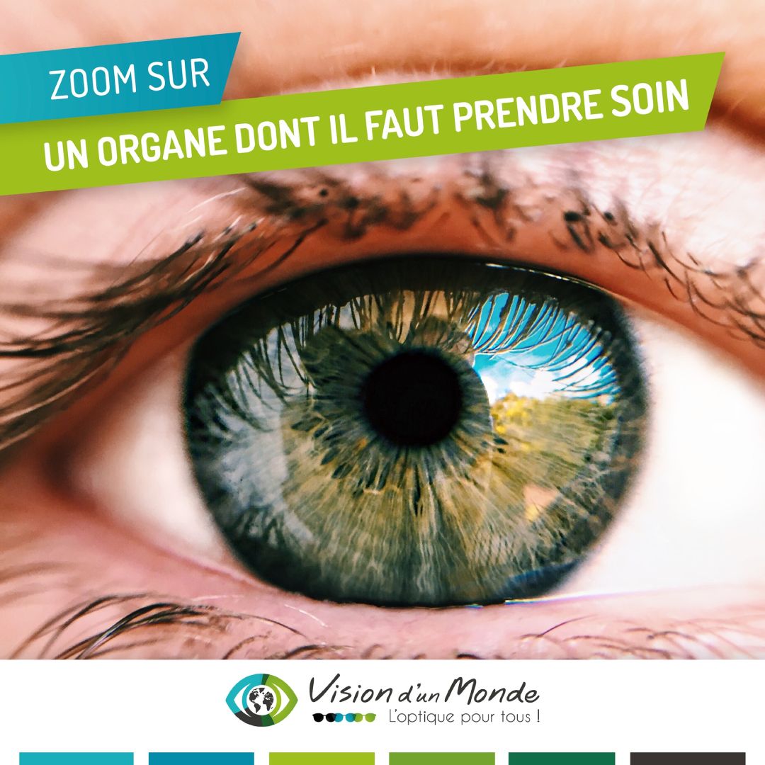 Zoom sur outlet l'oeil